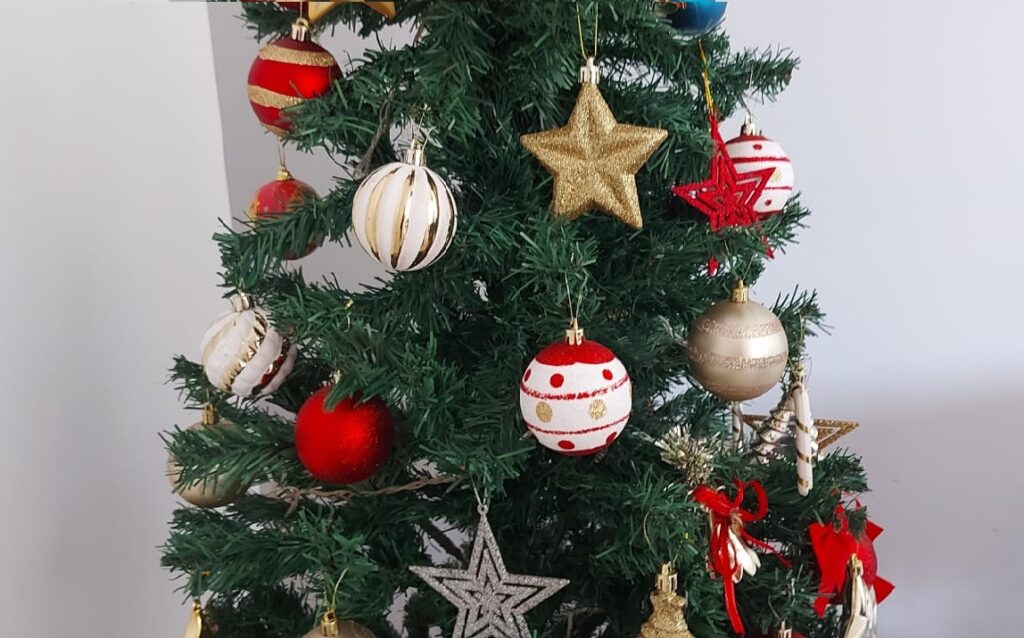 O início da comemoração de natalinas é árvore de natal e para evitar acidentes a Energisa alerta sobre cuidados